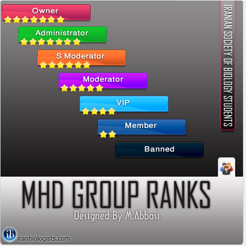 Group rank. Forum Rank [PSD]. Ранги PSD. Owner admin. Ranking Design.